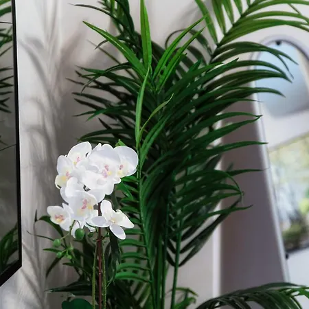 Florissa - By Myhomeincomo Blevio